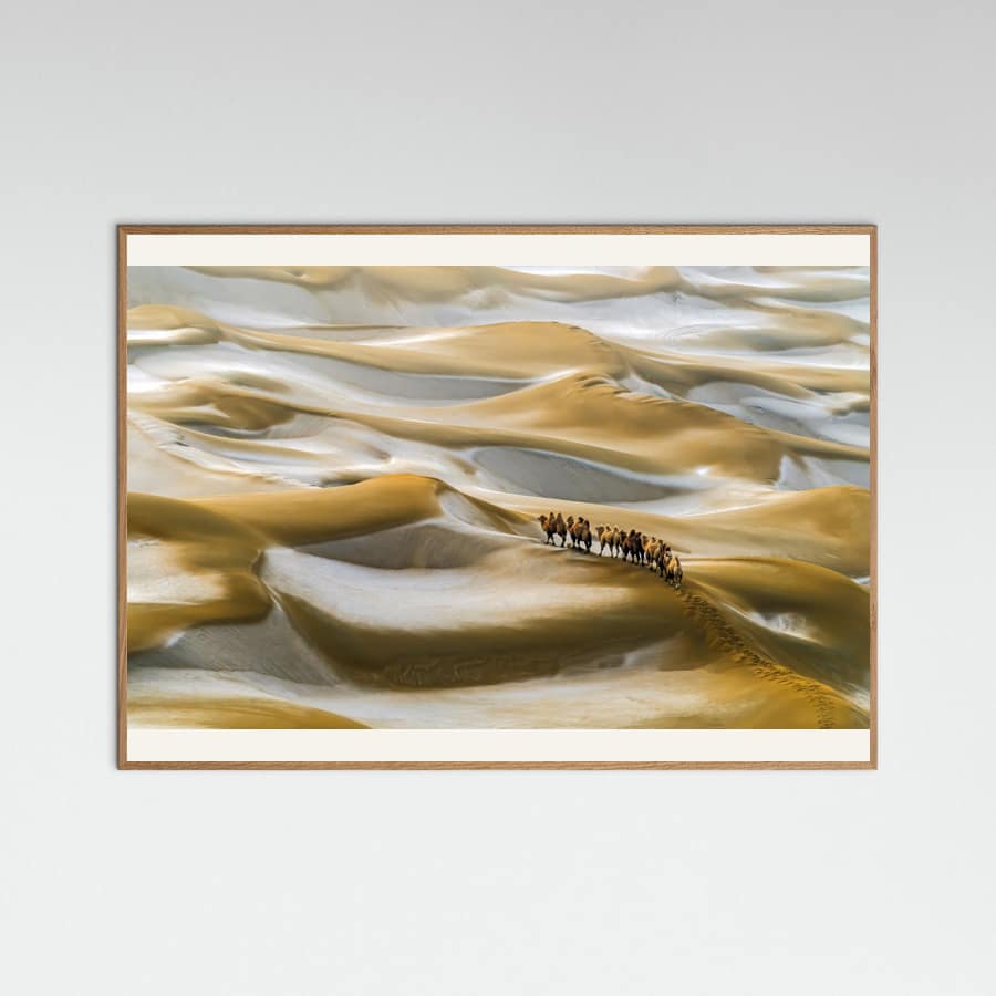 Desert Winter Poster – poster and art print