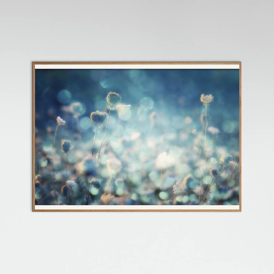 Affiche Diamonds – affiche et impression d’art