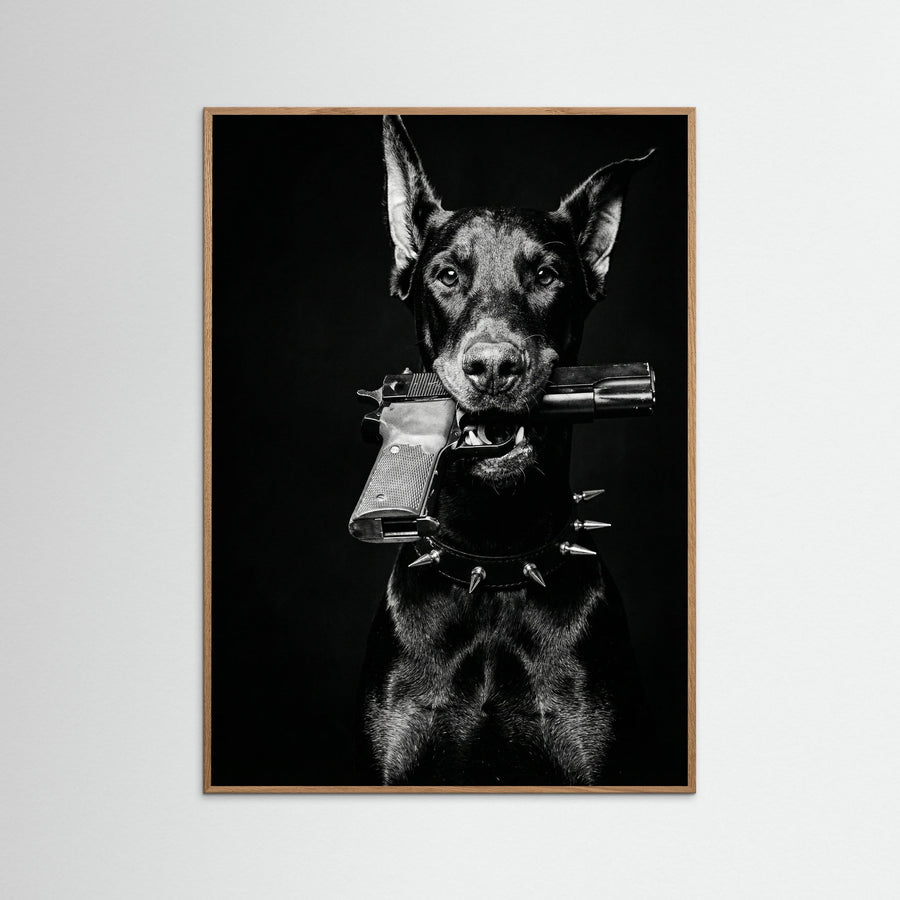 Dior Doberman