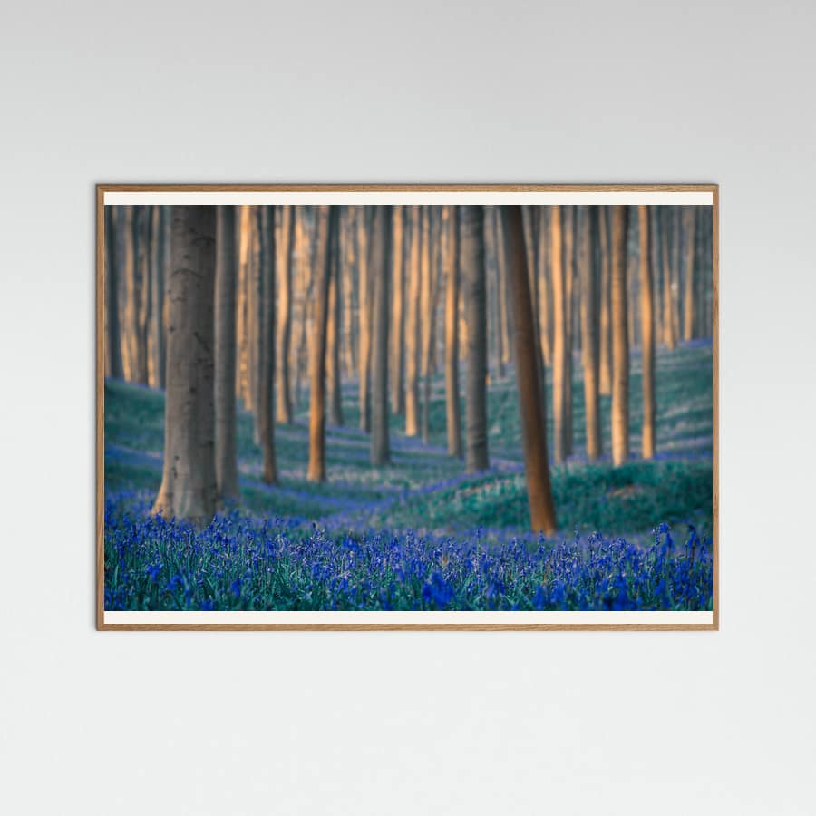 Dreams are made of these Poster – Poster und Kunstdruck