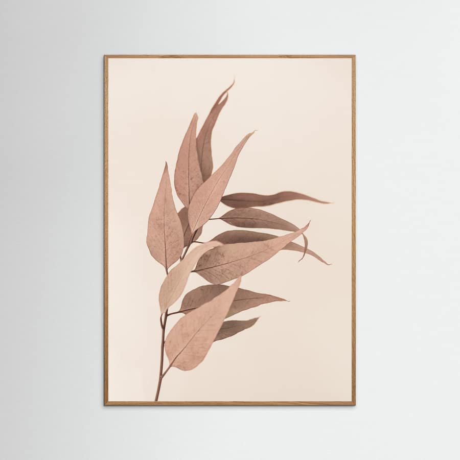 Affiche Dried Eucalyptus