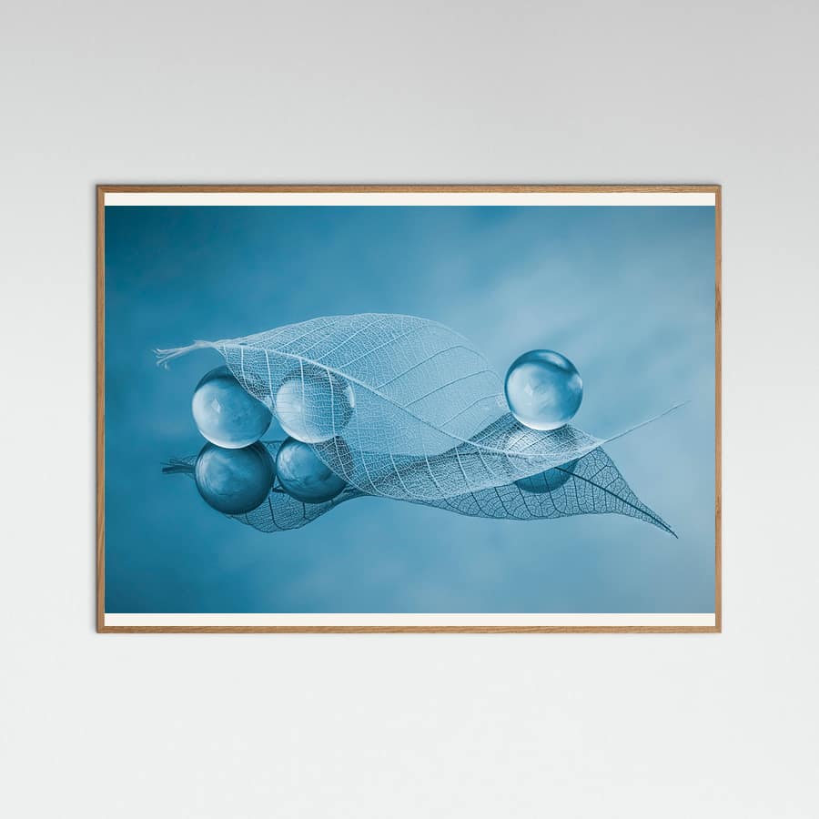 Dry leaf and Bubbles Poster