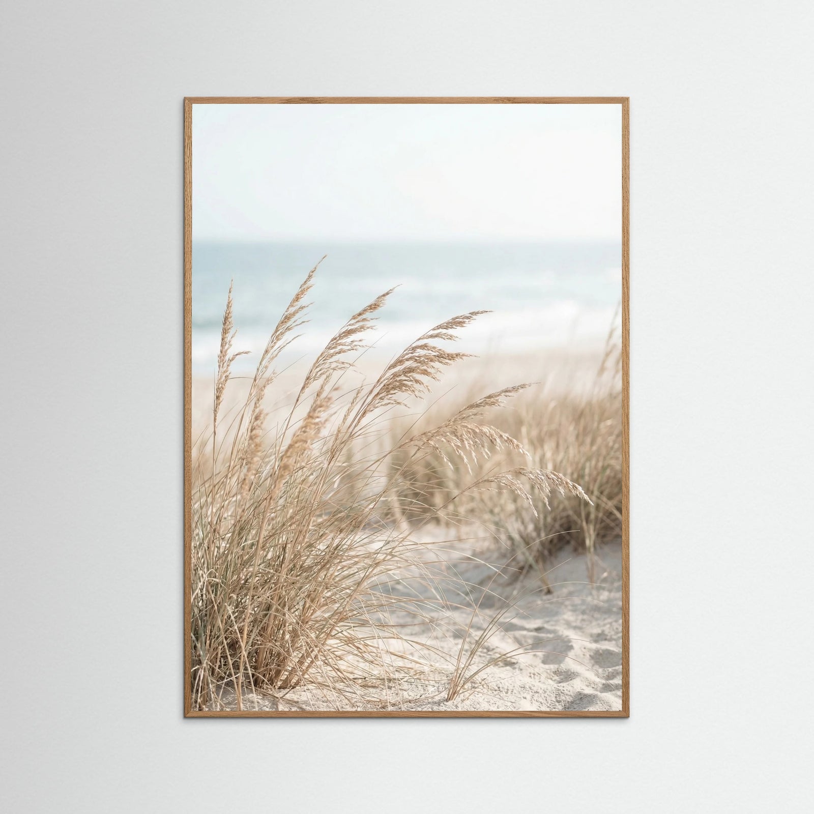 Oak Nature Dune Path Serenity
