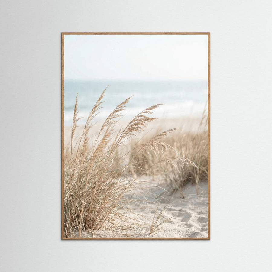 Dune Path Serenity