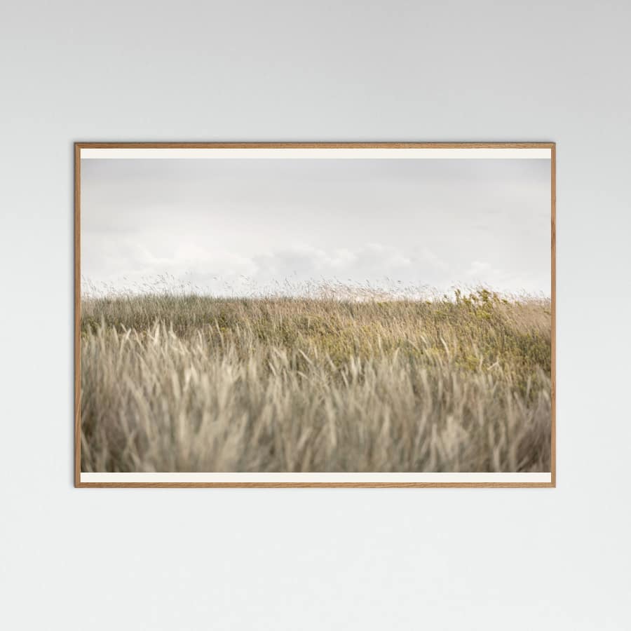 Dunes and Clouds 2 Poster