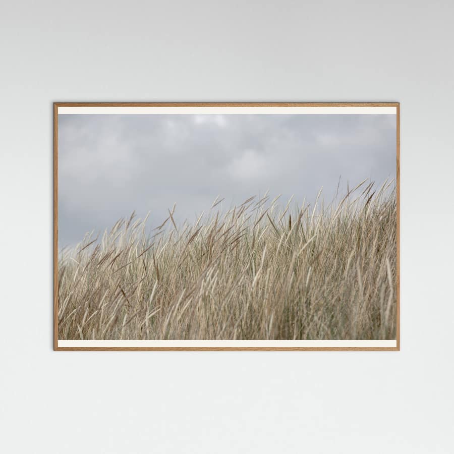 Plakat Dunes and Clouds