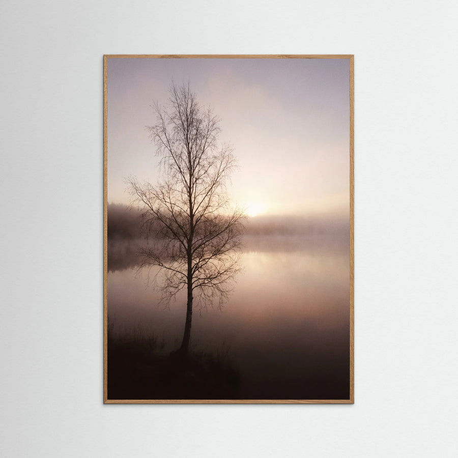 Dusk Embrace