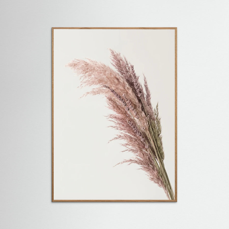 Dusty Bloom