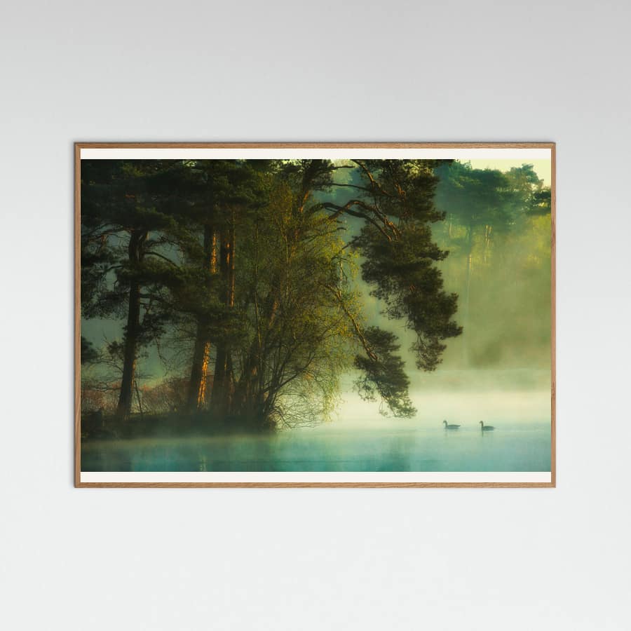 Dutch fen Poster