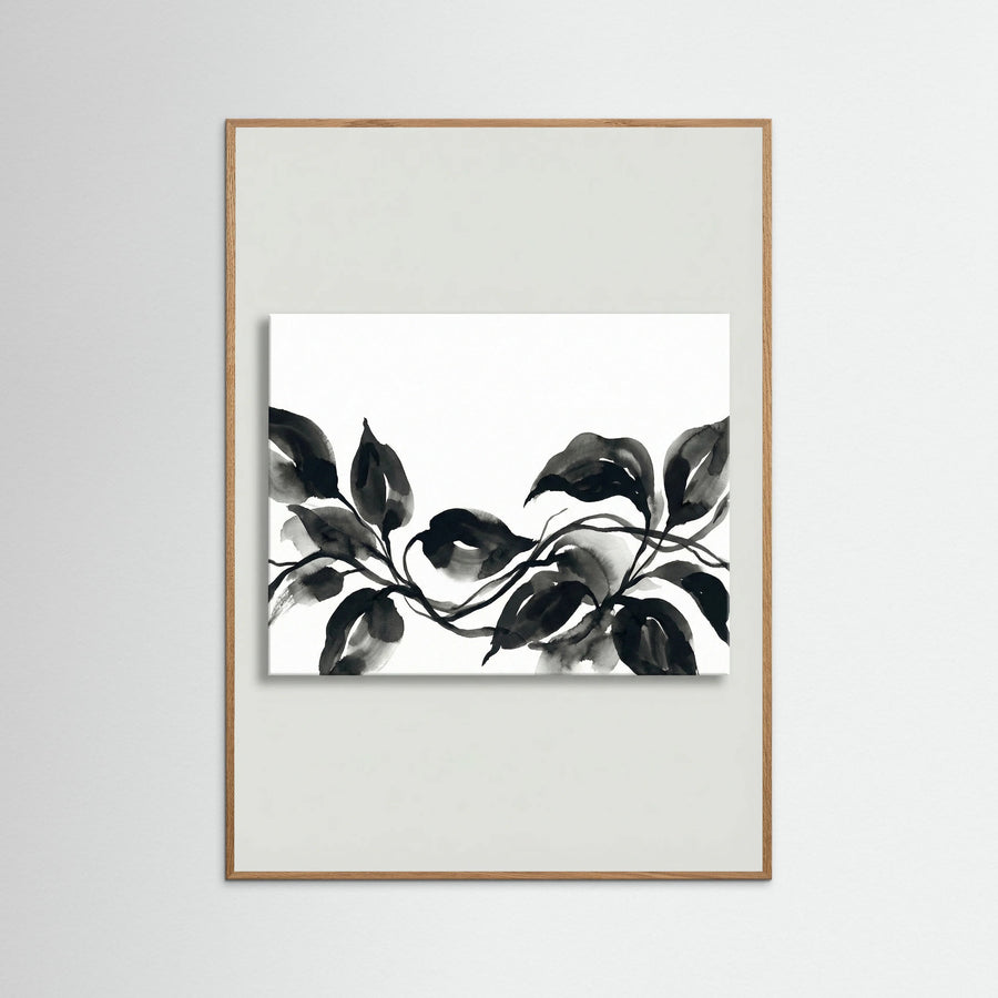 Ebony Bloom Study