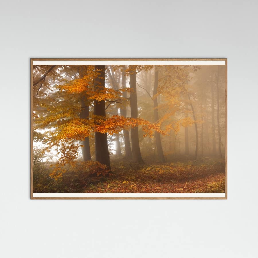 Edge of the woods Poster
