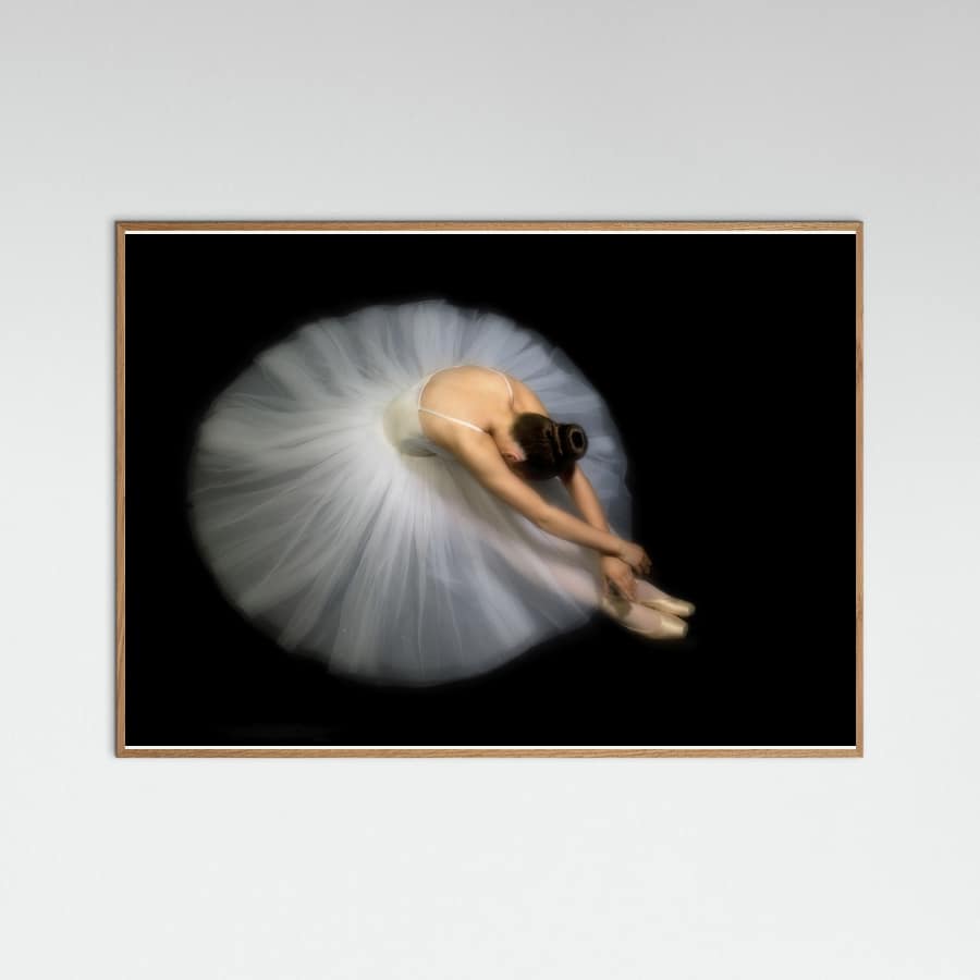 Elegance Poster – plakat og kunsttryk