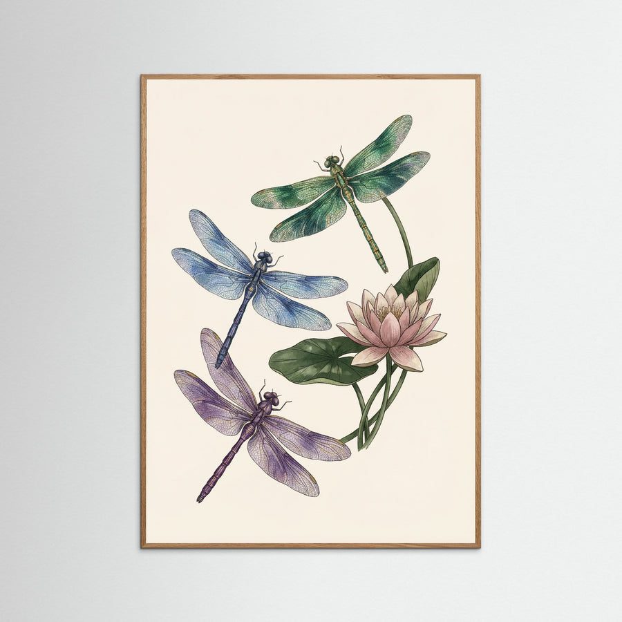 Elegant Entomology