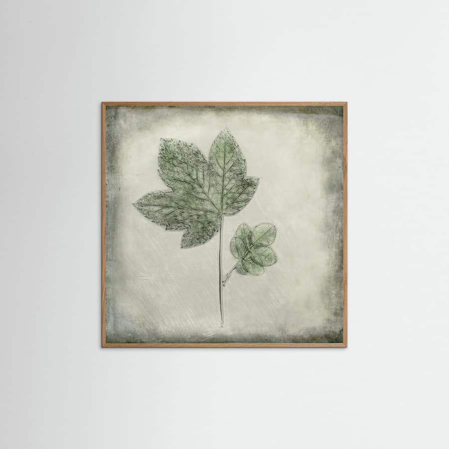 Elegant Green Leaves -juliste – juliste ja taidepainatus