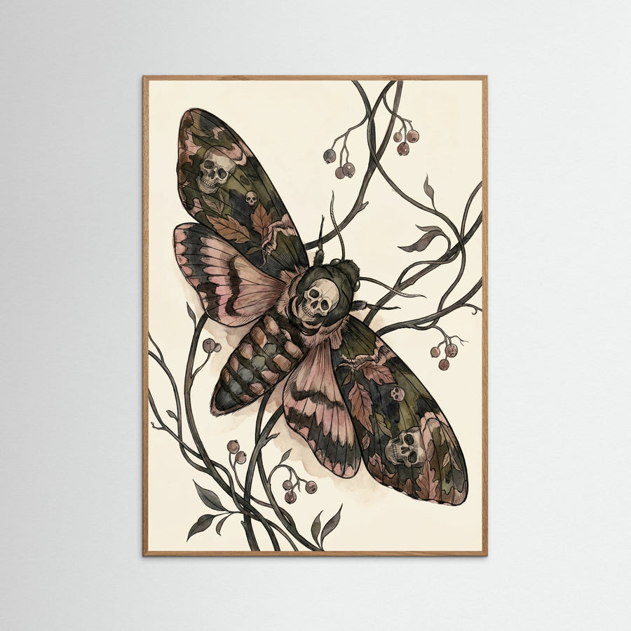 Elegant Silk Moth