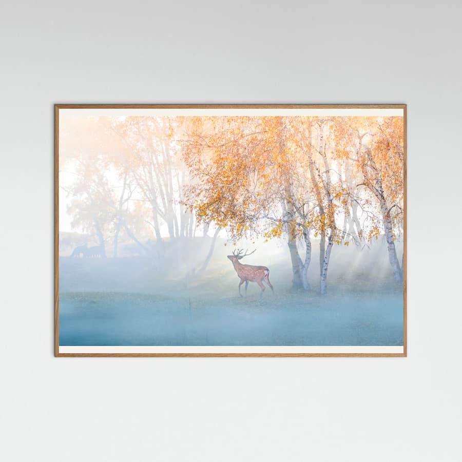 Elk Lost in Mist Poster – poster en kunstdruk