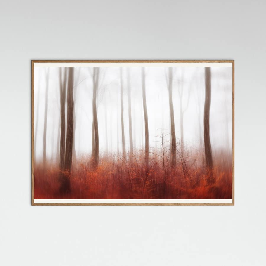 Endless Woods Poster – poster och konsttryck