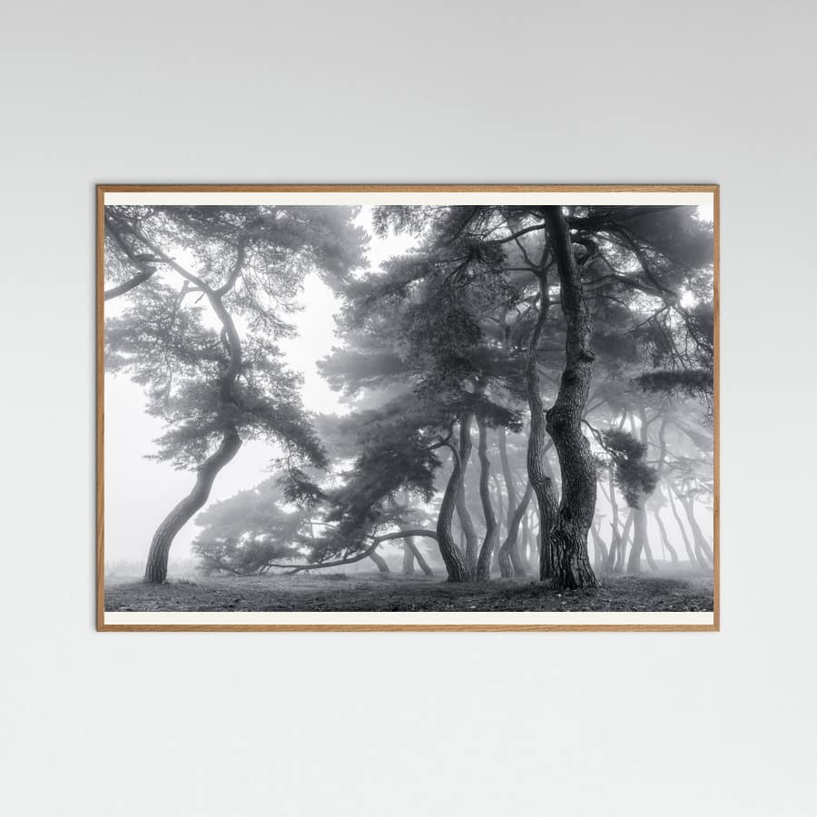 Endure for a hundred years Poster