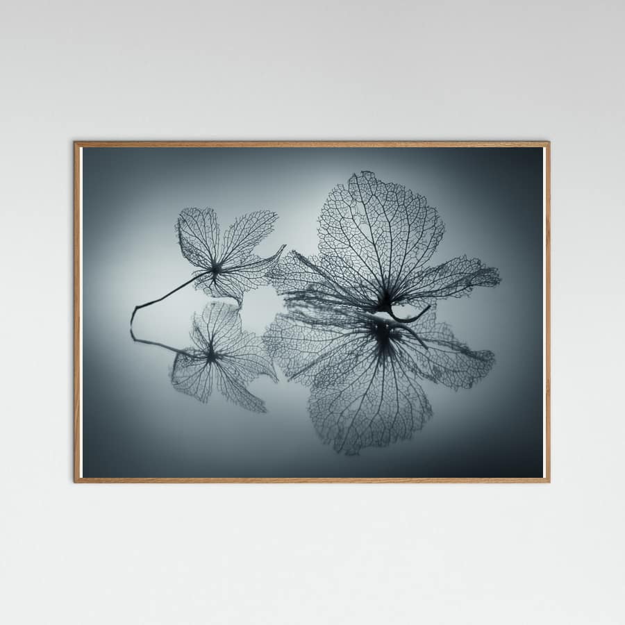 Plakat Ephemeral Beauty – plakat i druk artystyczny