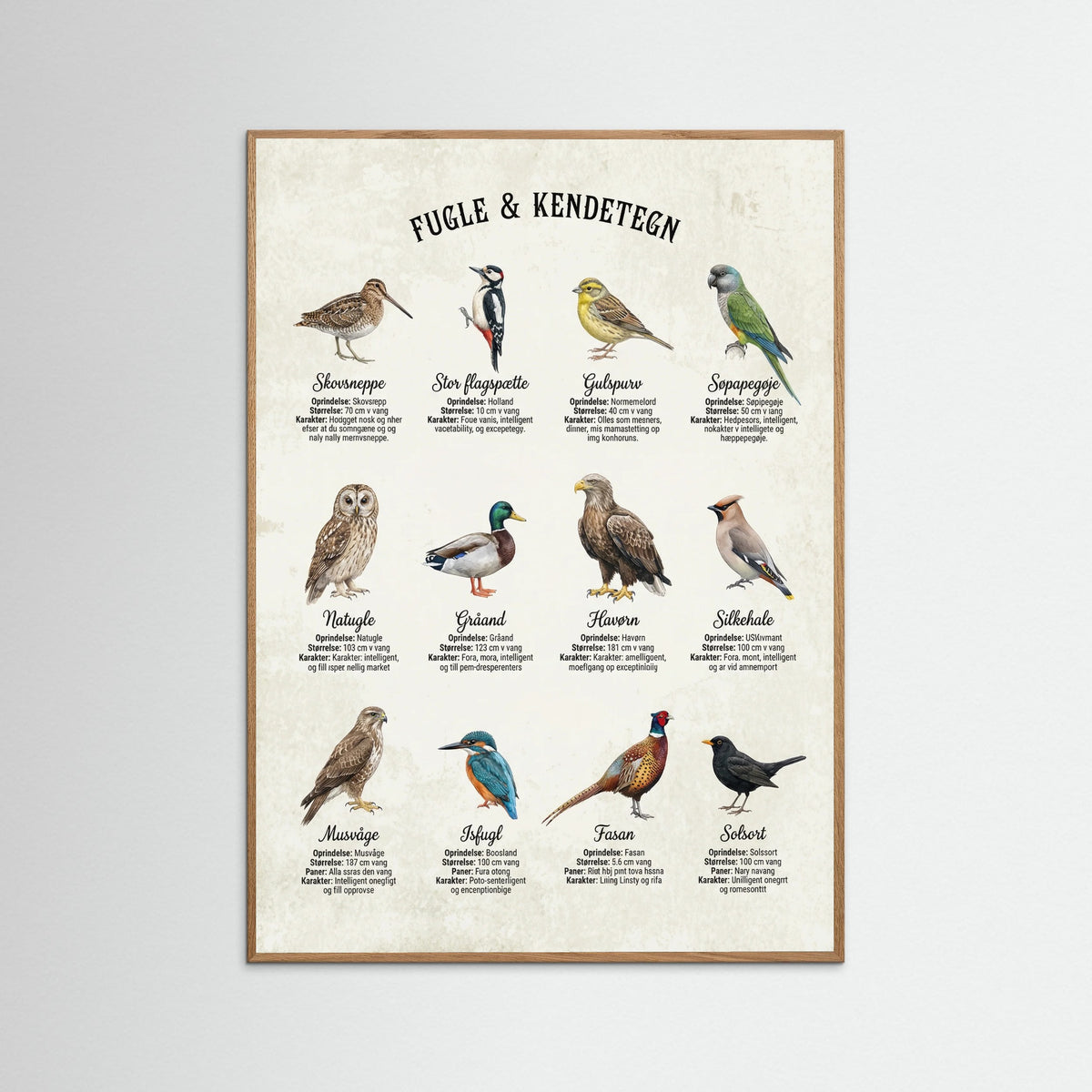 Oak Nature Equine Breed Guide