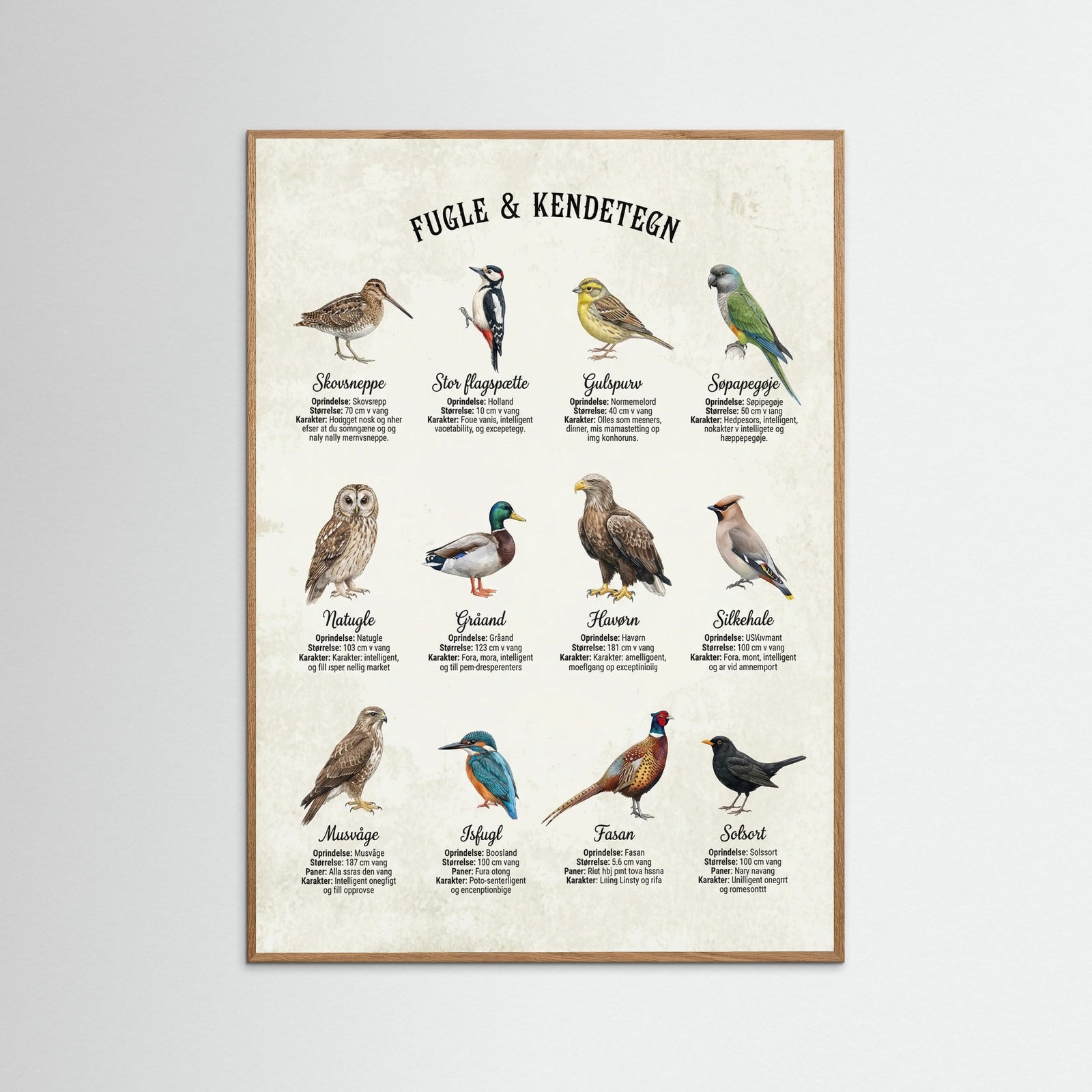 Oak Nature Equine Breed Guide