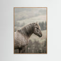 Oak Nature Equine Companions