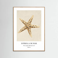 Oak Nature Estrella De Mar Poster