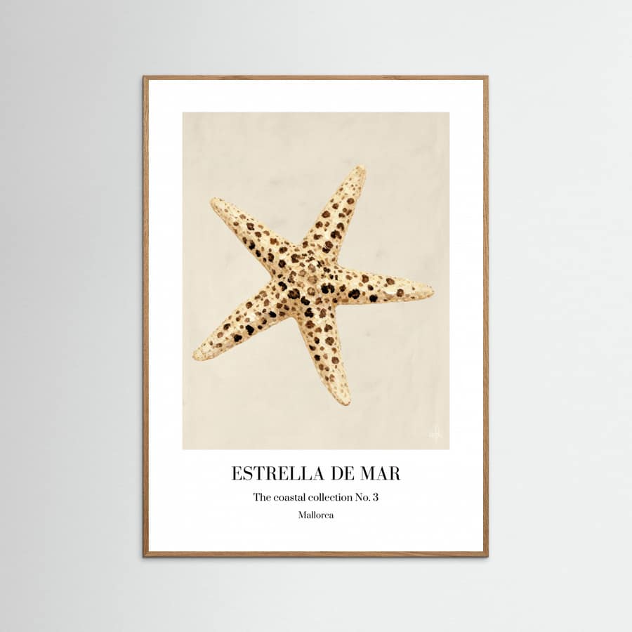 Póster Estrella De Mar