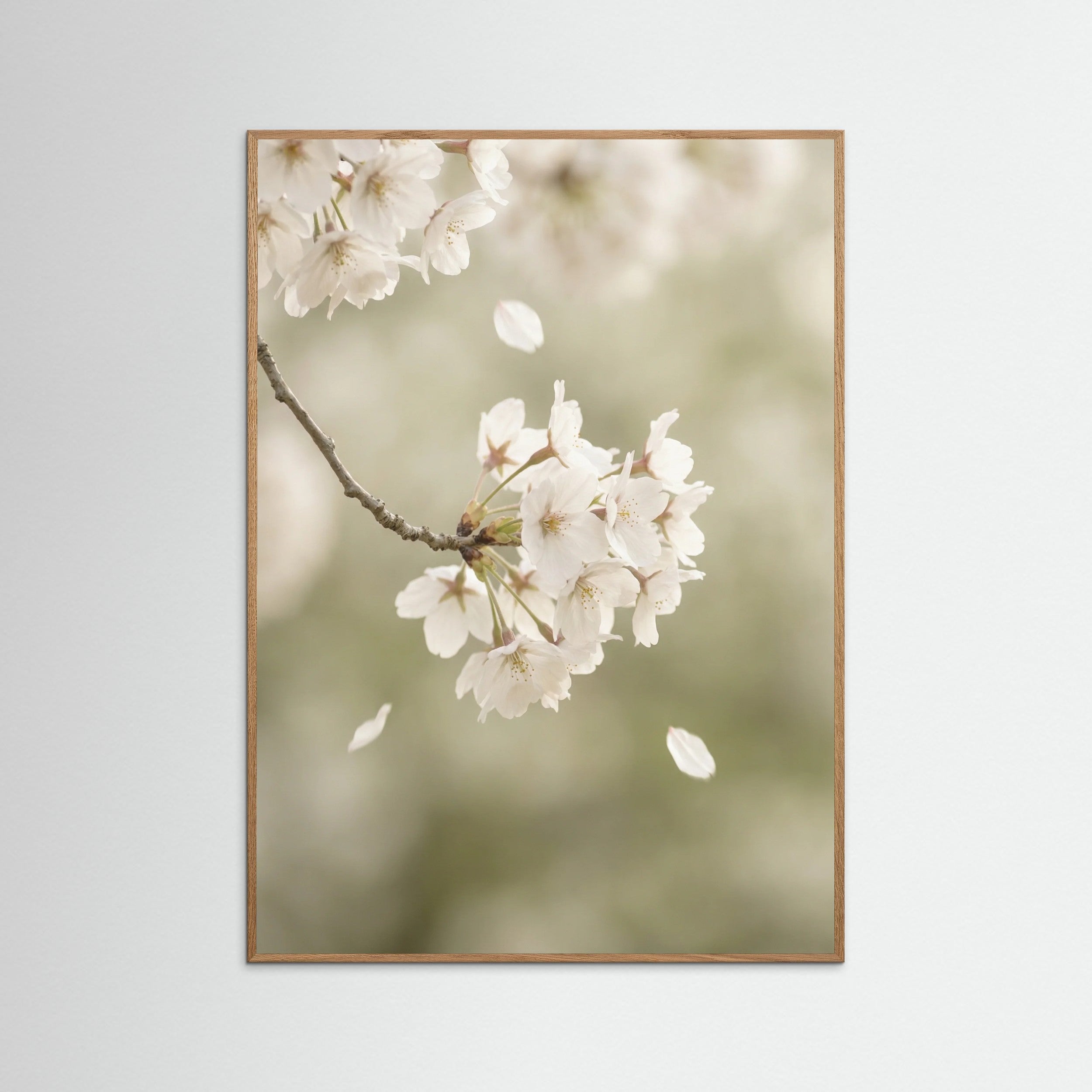 Oak Nature Ethereal Bloom