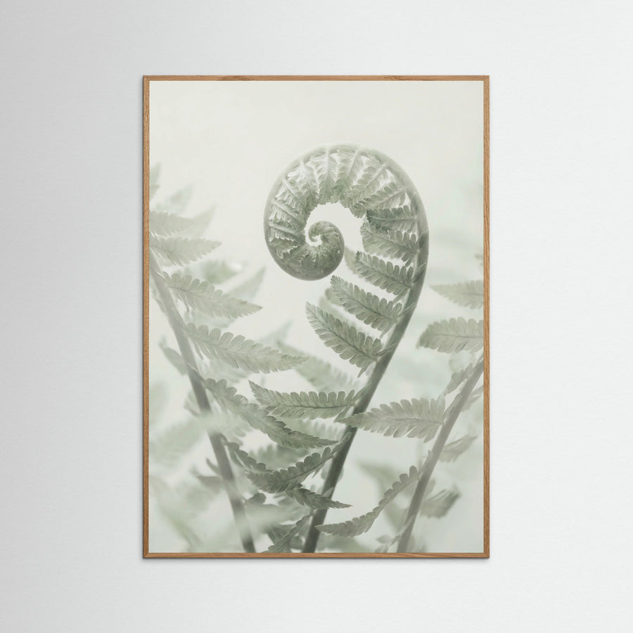 Ethereal Eucalyptus