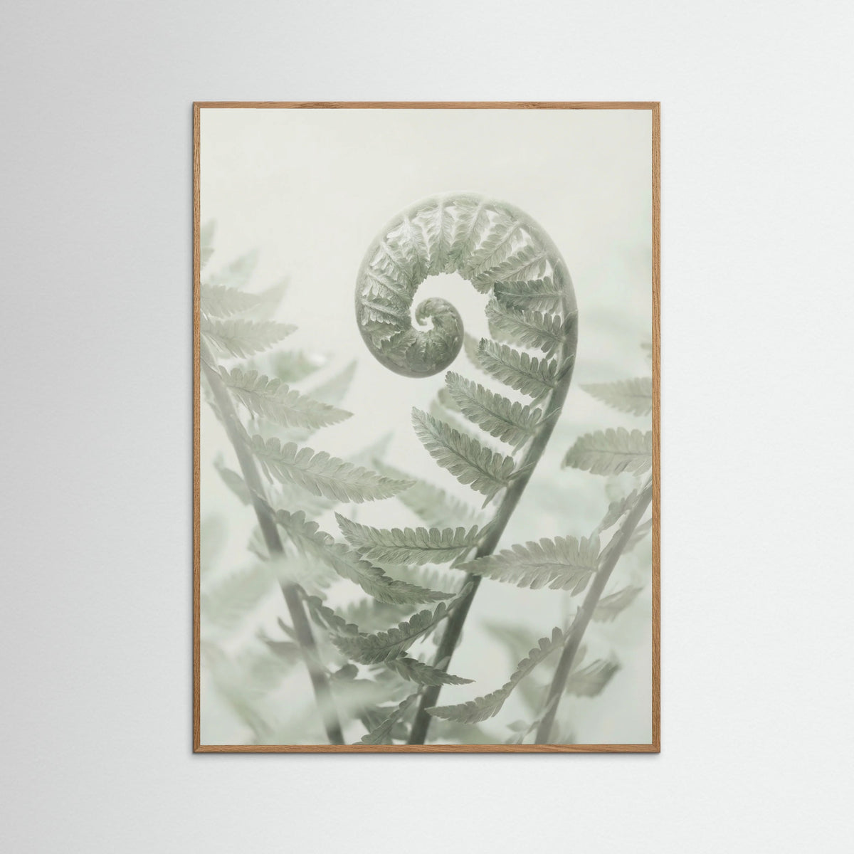 Oak Nature Ethereal Eucalyptus