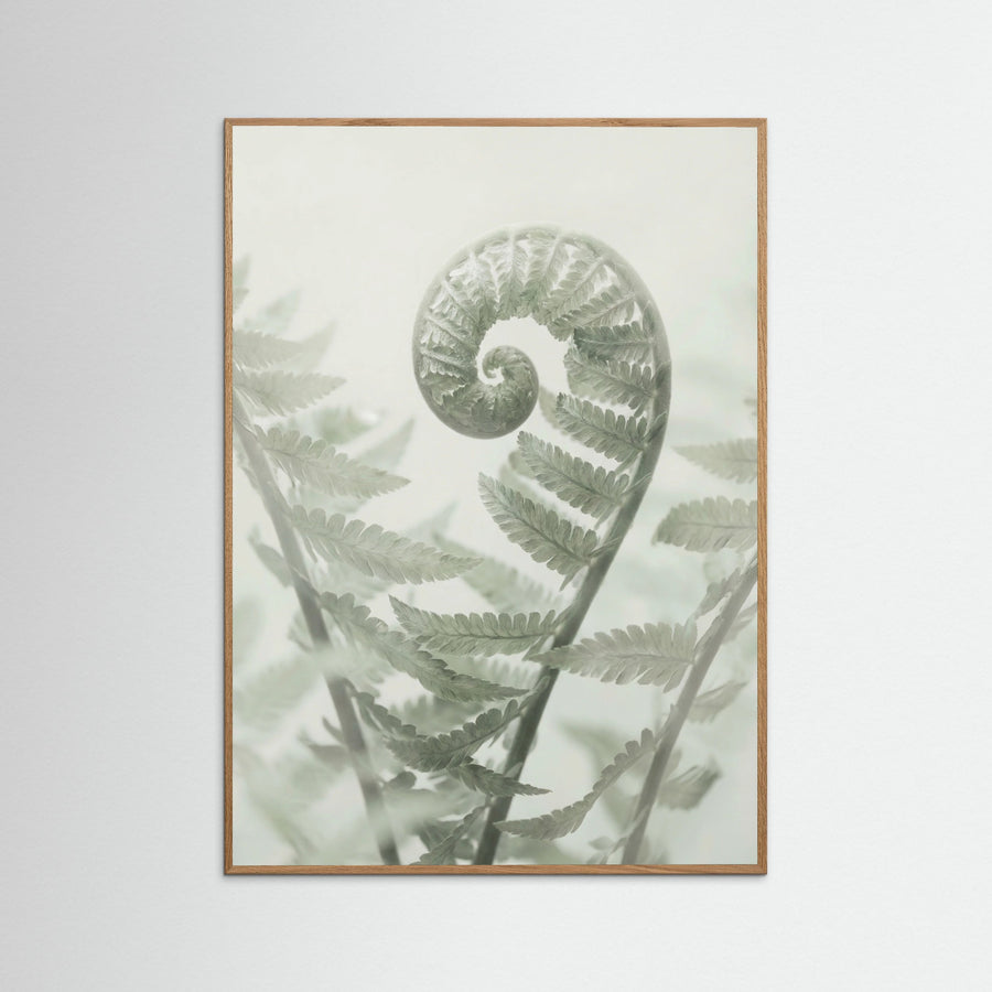 Ethereal Eucalyptus