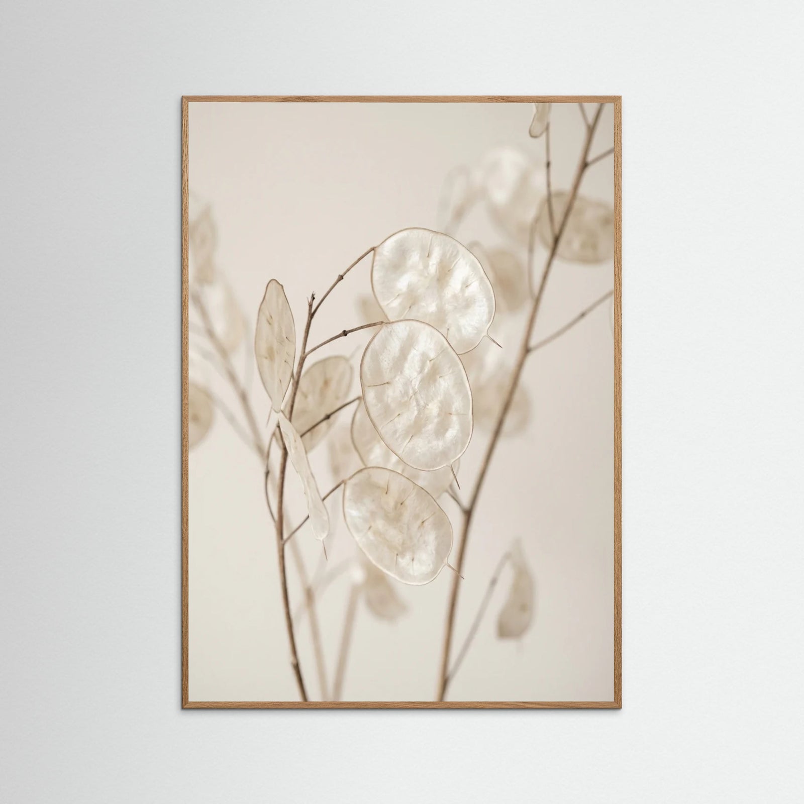 Oak Nature Ethereal Plumes