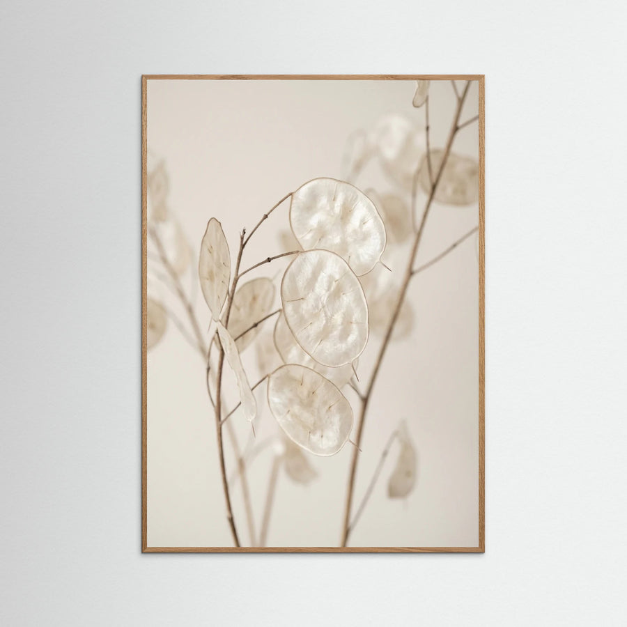 Ethereal Plumes