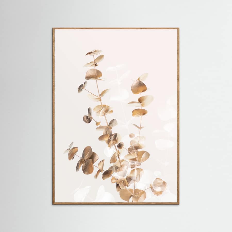 Poster Eucalyptus Creative Gold 03 – poster e stampa artistica