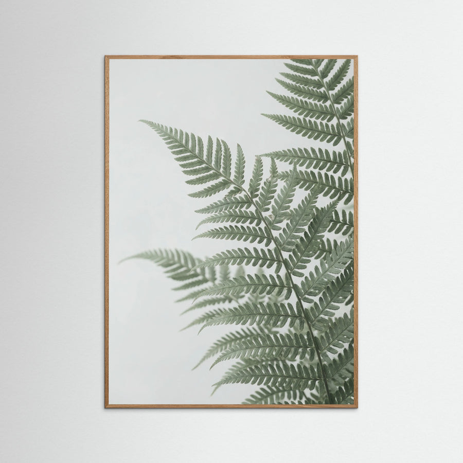 Eucalyptus Serenity Green