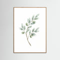 Oak Nature Eucalyptus Serenity