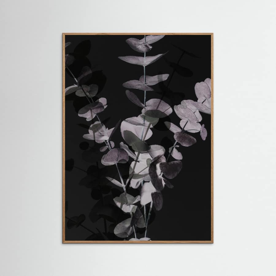 Eucalyptus_Negative_001 Poster