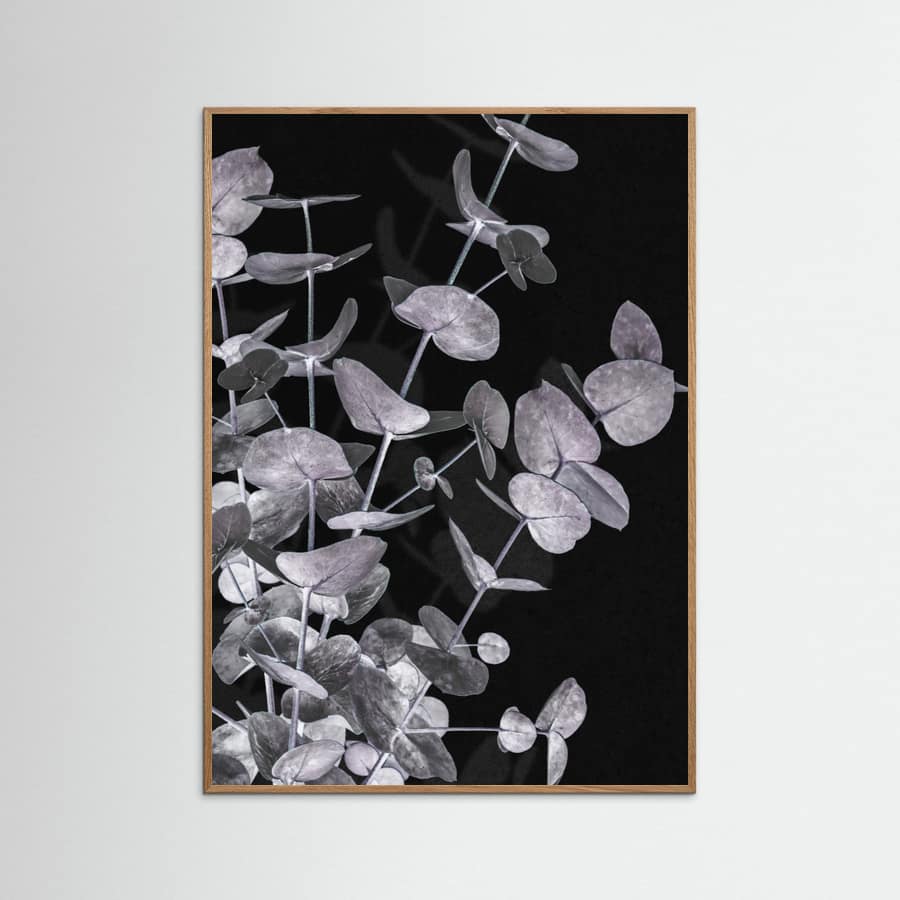 Plakat Eucalyptus_Negative_003