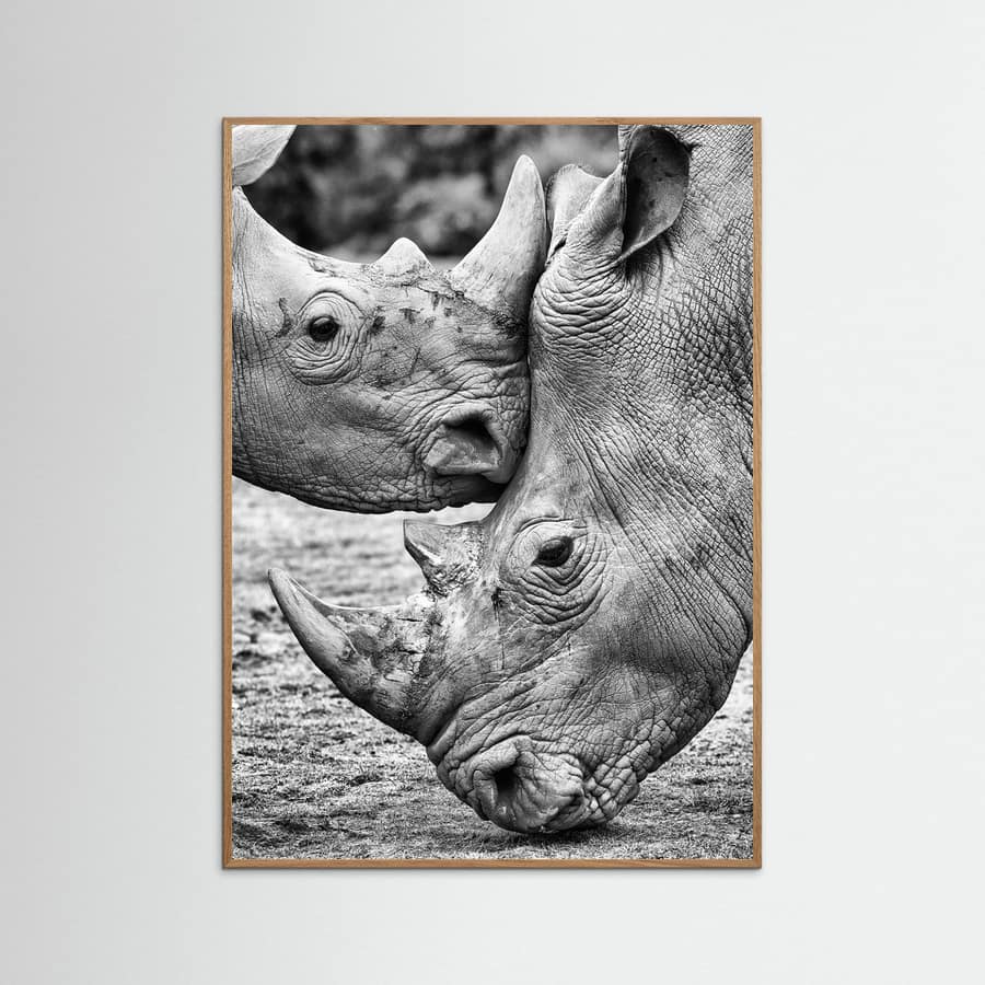 Face to face Poster – poster and art print