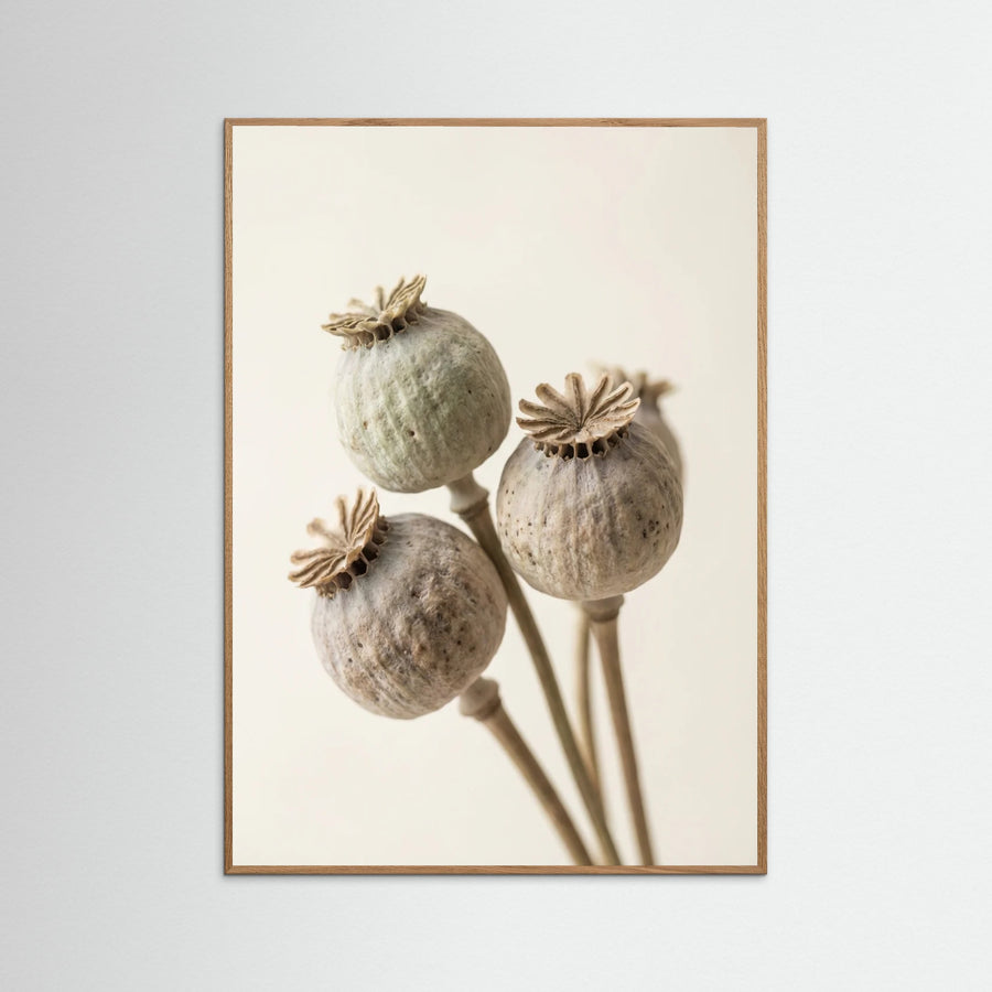 Faded Bloom