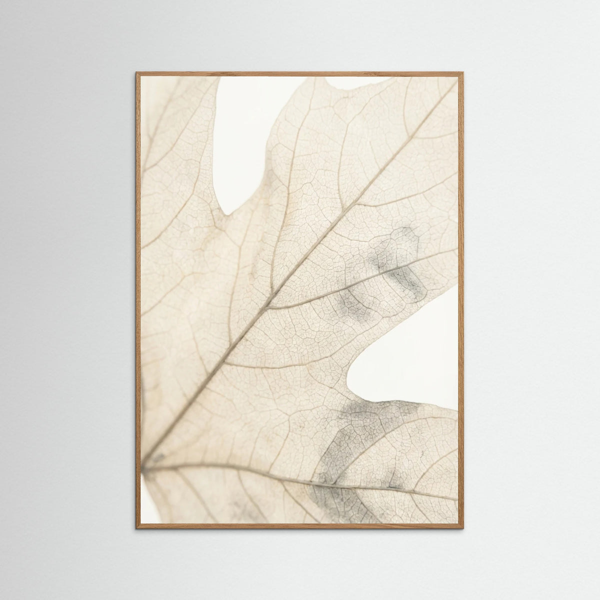 Oak Nature Faded Petals