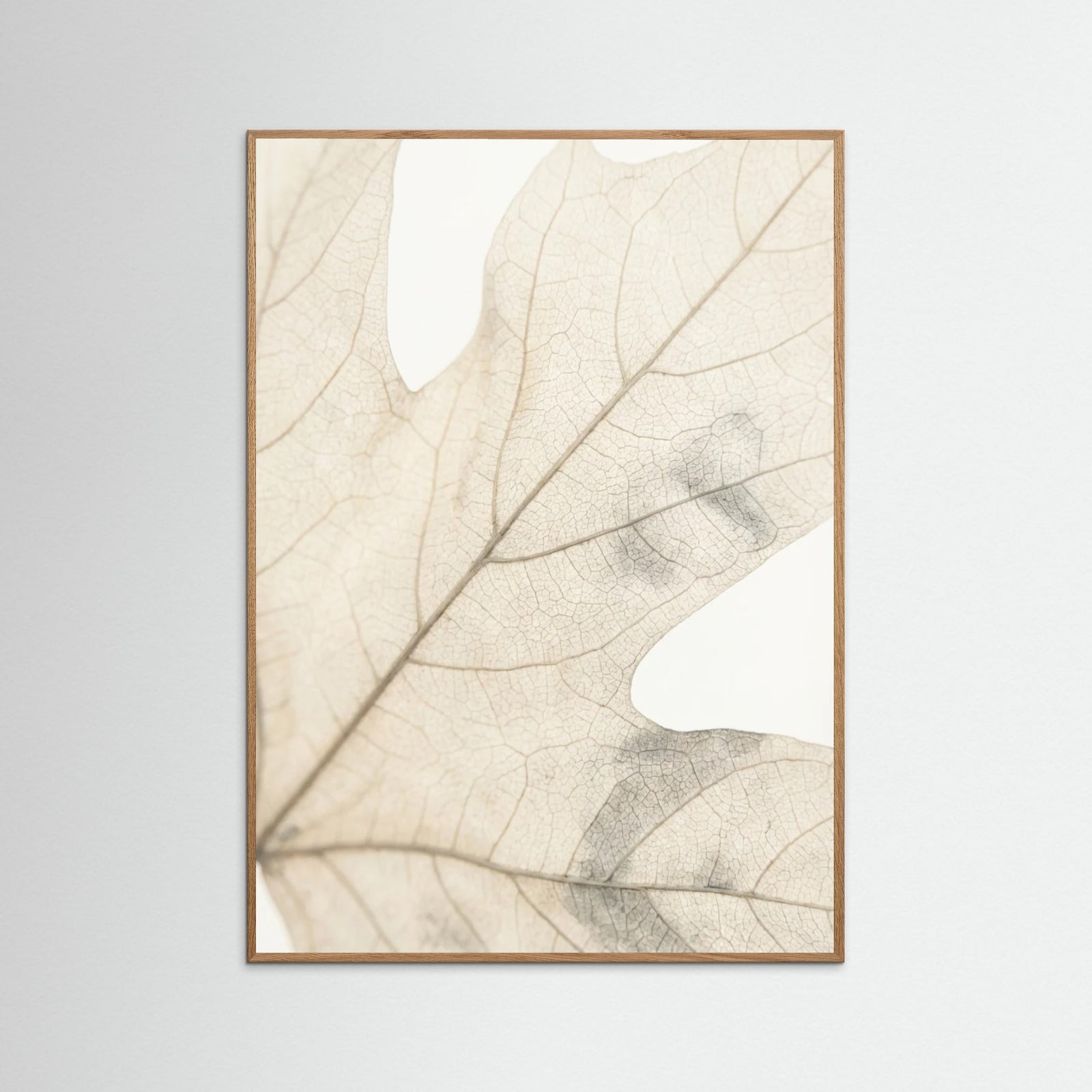 Oak Nature Faded Petals