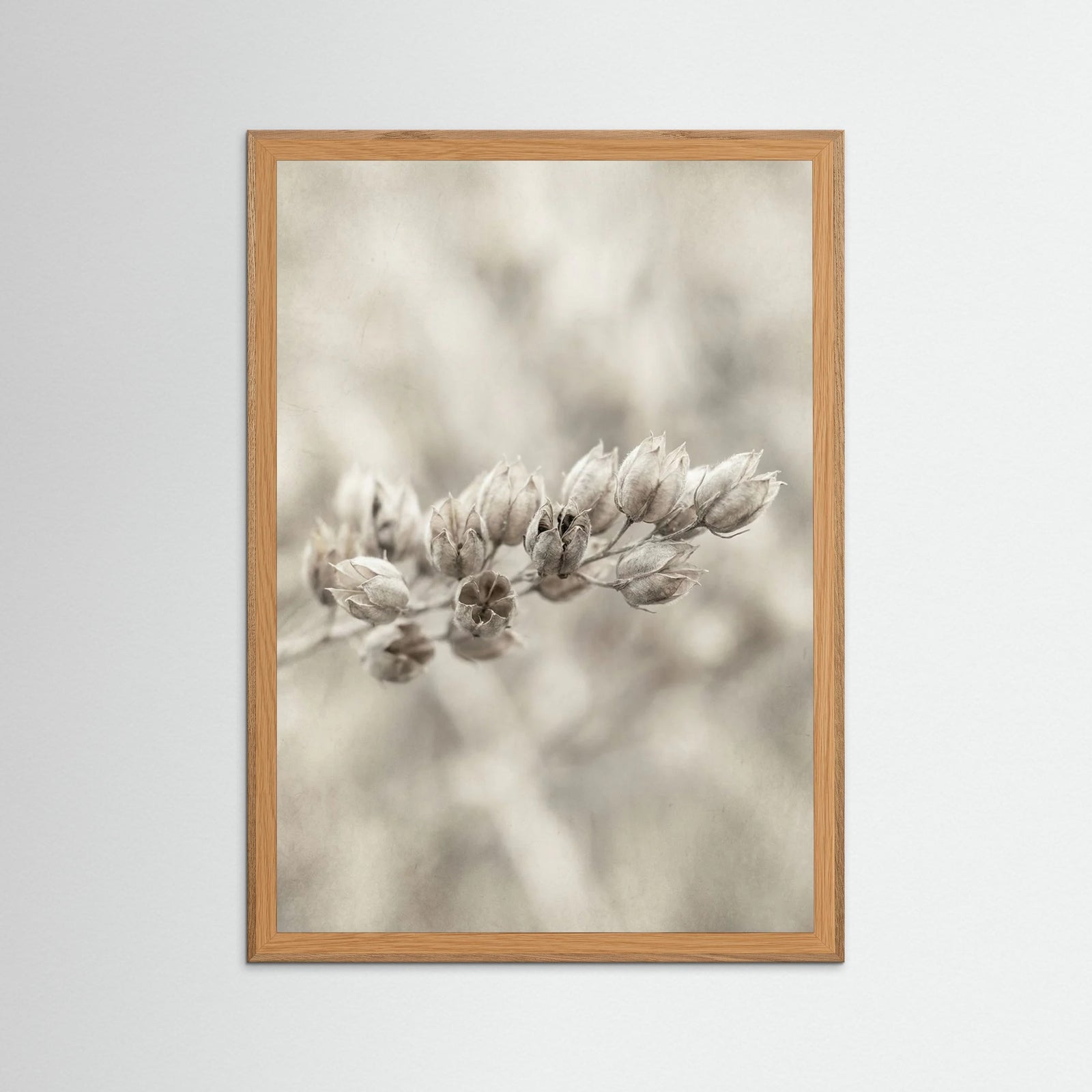 Oak Nature Faded Whisper