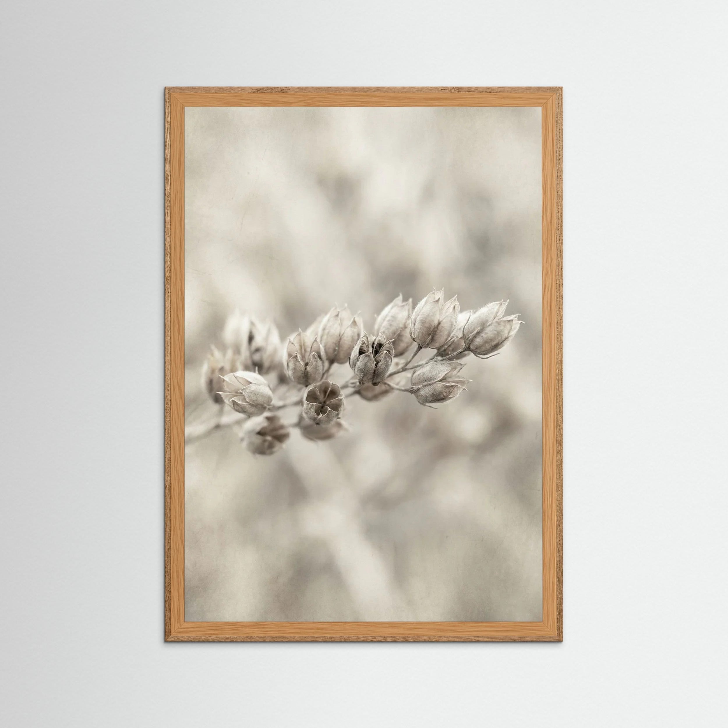 Oak Nature Faded Whisper