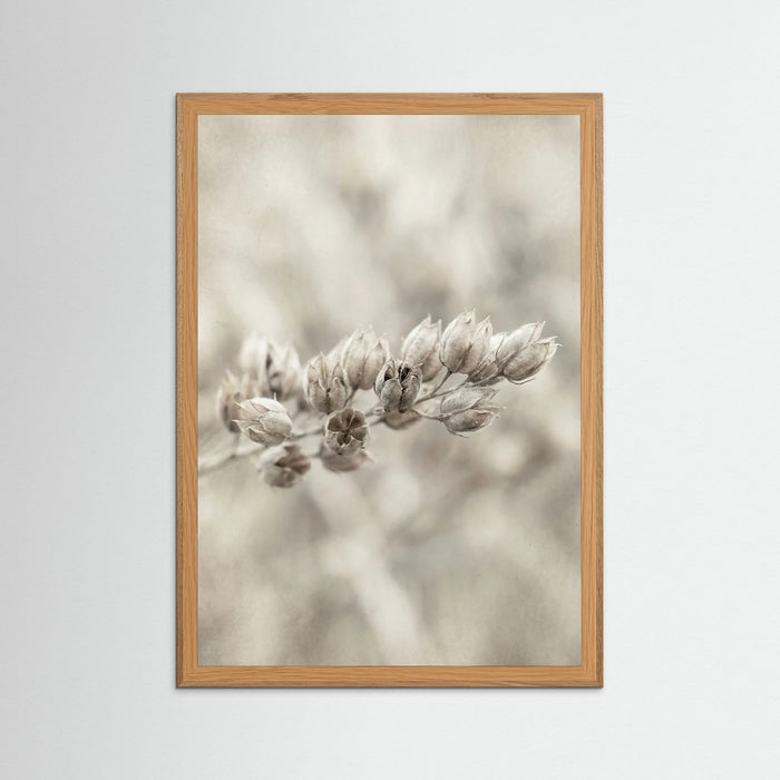Oak Nature Faded Whisper