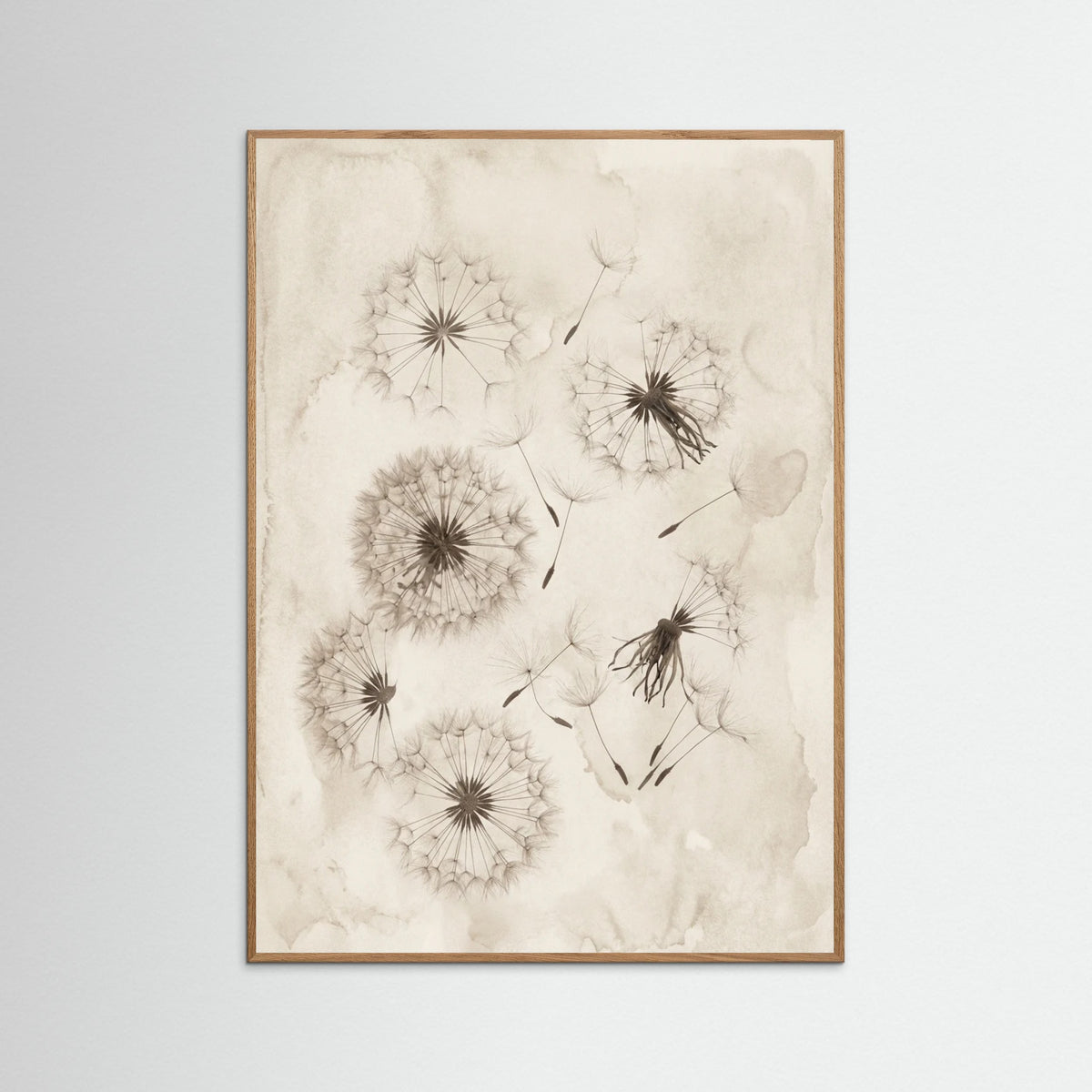 Oak Nature Fading Botanicals