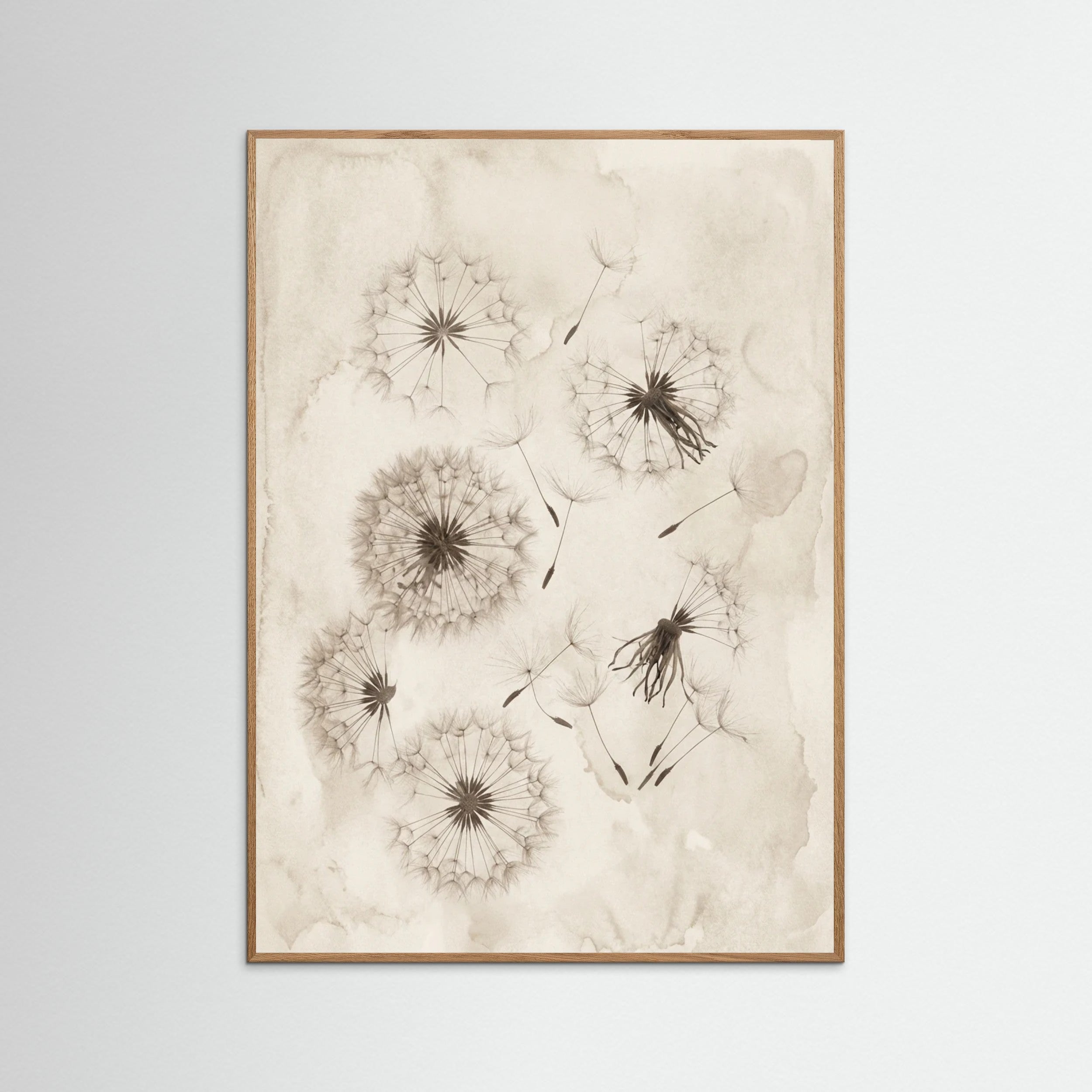 Oak Nature Fading Botanicals