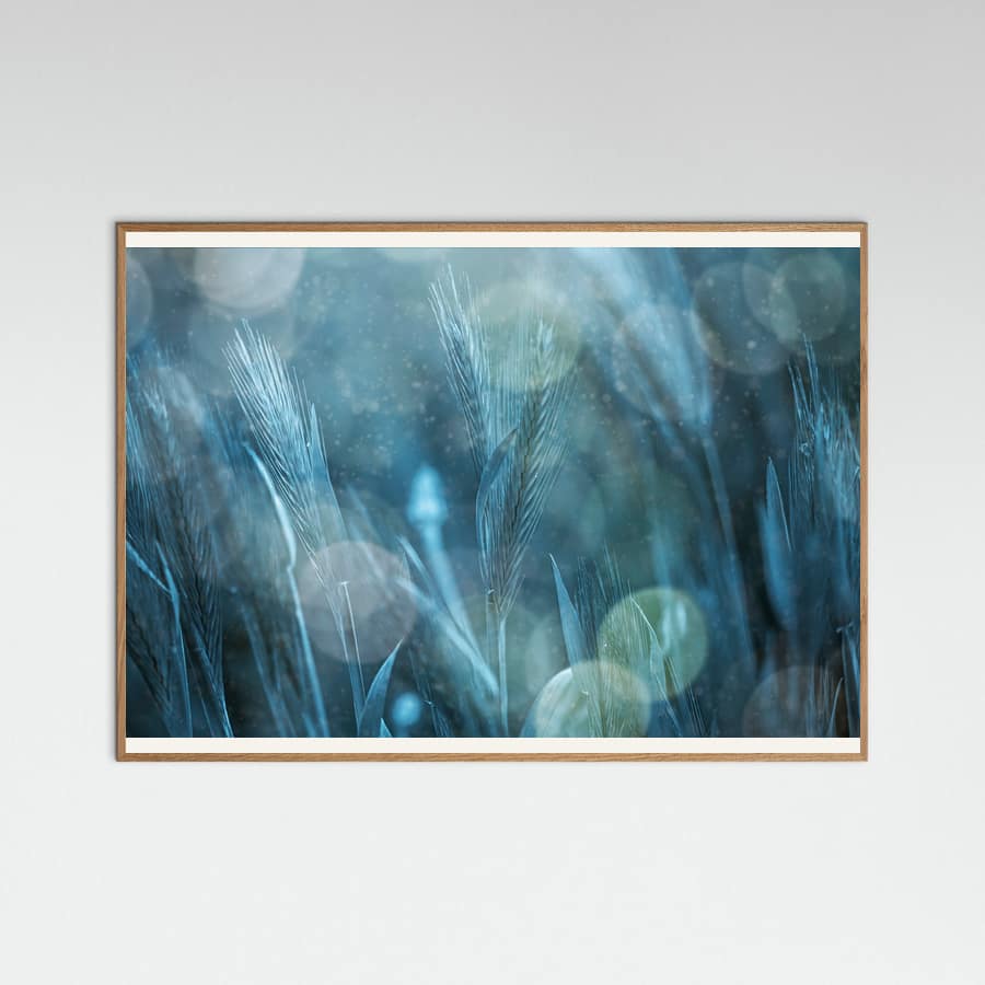 Plakat Fantastic Nature – plakat i druk artystyczny