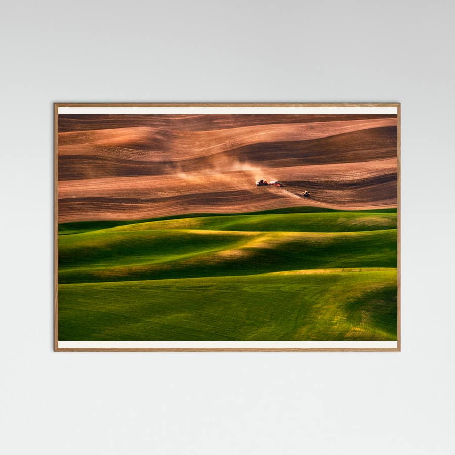 Póster Farmland
